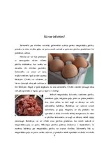 Referāts 'Salmonella', 9.