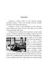 Referāts 'Salmonella', 11.