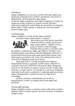 Referāts 'Skaņas atskaņošana', 2.