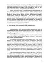 Referāts 'Rotaļu un spēļu izmantošana mācību stundās', 6.