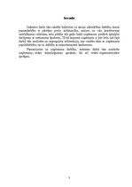 Referāts 'Darba vadīšana', 3.