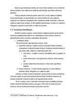 Referāts 'Investīciju projektu novērtēšanas metodes', 8.