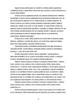 Referāts 'Investīciju projektu novērtēšanas metodes', 24.