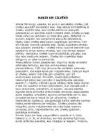 Referāts 'Kaķis', 3.