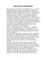 Referāts 'Kaķis', 5.