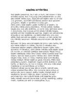 Referāts 'Kaķis', 20.