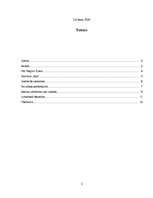 Referāts 'Regīna Ezera "Aka"', 2.