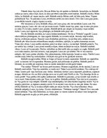 Referāts 'Regīna Ezera "Aka"', 8.