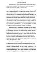 Eseja 'V.Igo "Parīzes Dievmātes katedrāle" - melnbaltie kontrasti', 1.