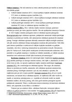 Konspekts 'Ražošanas organizācija. Ieņēmumi un ražošanas izmaksas', 3.