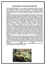 Konspekts 'Vardes', 6.