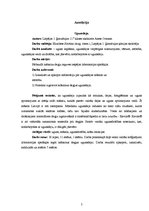 Referāts 'Ugunsdeja', 2.