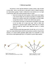 Referāts 'Ugunsdeja', 11.