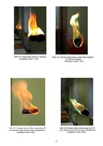 Referāts 'Ugunsdeja', 15.