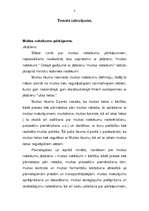 Referāts 'Muitas noteikumu pārkāpumu būtība', 2.