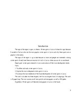 Referāts 'Ziemas sporta veidi Latvijā', 5.