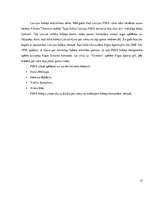 Referāts 'Ziemas sporta veidi Latvijā', 12.