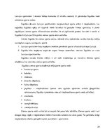 Referāts 'Ziemas sporta veidi Latvijā', 24.