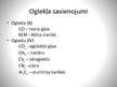 Prezentācija 'Ogleklis', 18.