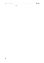 Paraugs 'Treniņa gada plāns florbolā', 2.