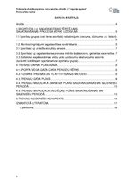 Paraugs 'Treniņa gada plāns florbolā', 3.