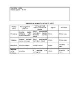 Paraugs 'Treniņa gada plāns florbolā', 14.