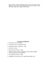 Prakses atskaite 'Alkohola atkarība', 3.