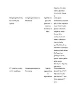 Prakses atskaite 'Alkohola atkarība', 11.