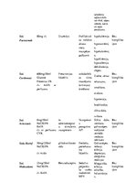 Prakses atskaite 'Alkohola atkarība', 13.