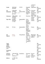 Prakses atskaite 'Alkohola atkarība', 14.