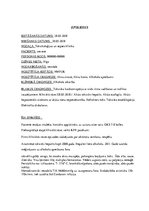 Prakses atskaite 'Alkohola atkarība', 16.