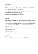 Prakses atskaite 'Alkohola atkarība', 17.