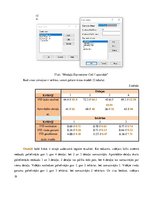 Referāts 'Sistēmu imitācijas un modelēšanas tehnoloģija', 19.