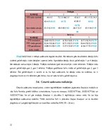 Referāts 'Sistēmu imitācijas un modelēšanas tehnoloģija', 21.