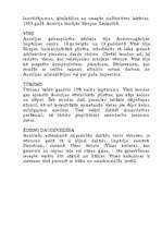 Eseja 'Pasakainais ceļojums', 6.