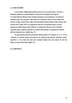 Referāts 'Inflācija Latvijā un tās sekas', 19.