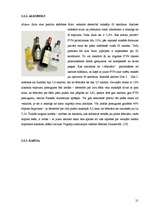 Referāts 'Inflācija Latvijā un tās sekas', 21.