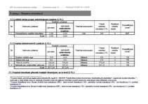 Biznesa plāns 'Projekts par datoru iegādi', 13.