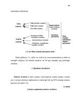 Referāts 'Izmaksas uzņēmējdarbībā, to noteikšana', 19.