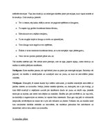 Prakses atskaite 'Audzināšanas darba prakse sākumskolā', 11.