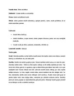 Prakses atskaite 'Audzināšanas darba prakse sākumskolā', 12.