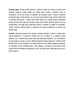 Prakses atskaite 'Audzināšanas darba prakse sākumskolā', 19.