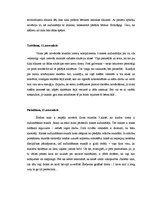 Prakses atskaite 'Audzināšanas darba prakse sākumskolā', 22.