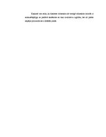 Prakses atskaite 'Audzināšanas darba prakse sākumskolā', 29.