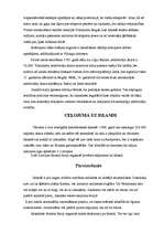 Konspekts 'Islande', 5.