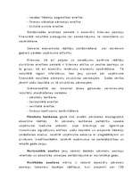 Referāts 'Uzņēmuma saimnieciskās darbības analīze', 19.