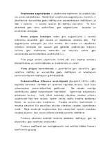 Referāts 'Uzņēmuma saimnieciskās darbības analīze', 21.