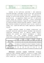 Referāts 'Uzņēmuma saimnieciskās darbības analīze', 28.