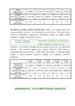 Referāts 'Uzņēmuma saimnieciskās darbības analīze', 39.