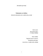 Referāts 'Fotokamera vai telefons', 1.